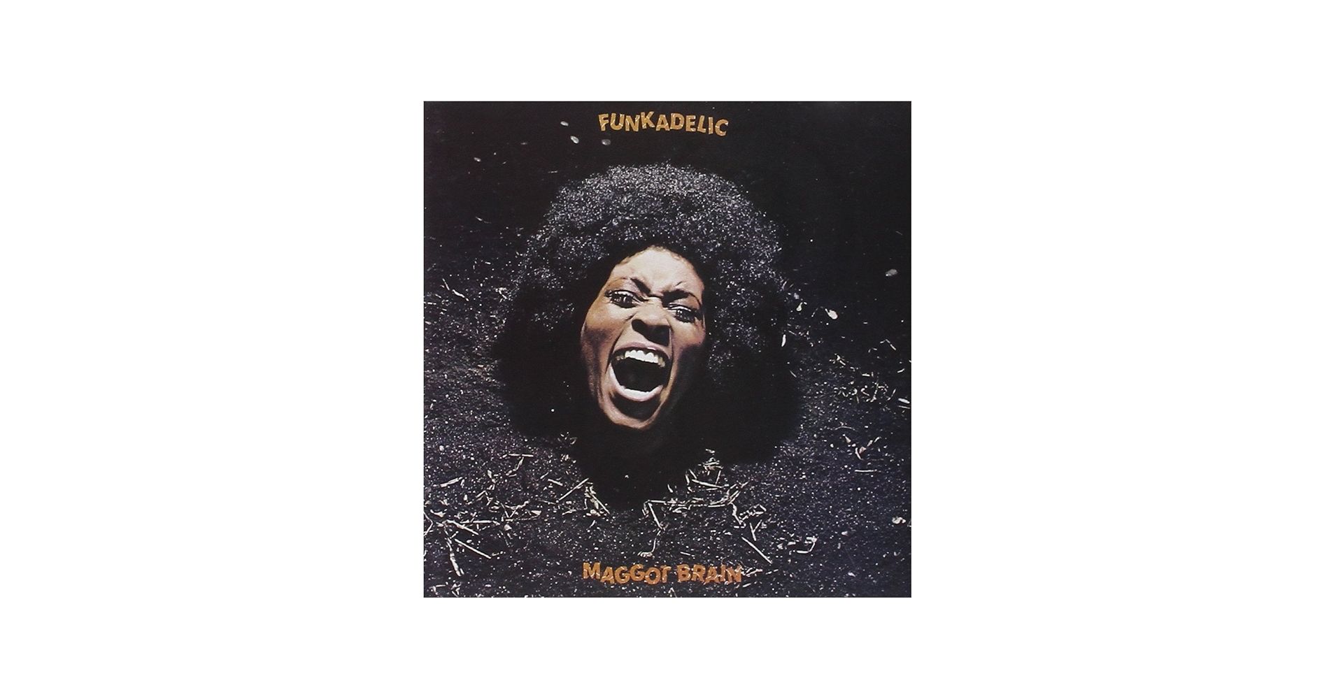 0712 Maggot Brain- Funkadelic