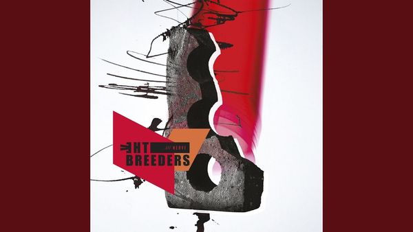 0302 All Nerve-The Breeders