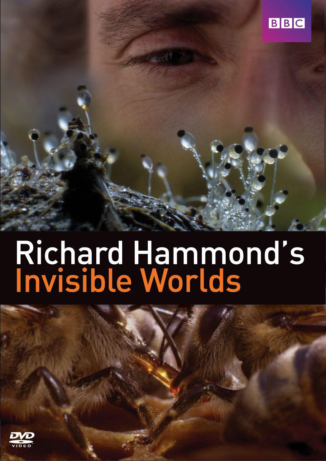 理查德·哈蒙德：看不见的世界 / Richard Hammond's Invisible Worlds