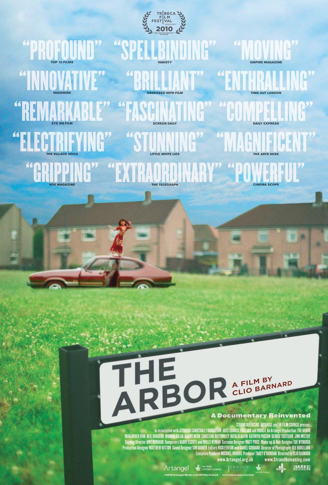 树荫 / The Arbor