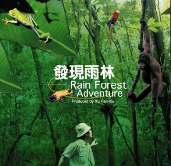 发现雨林