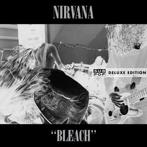 In Utero (20th Anniversary Edition) / Bleach